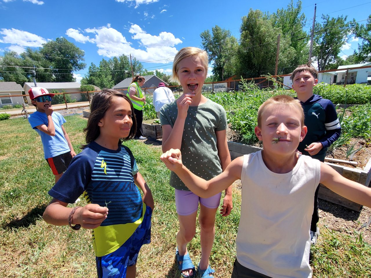 Summer Sparks Wyoming Enrichment Network
